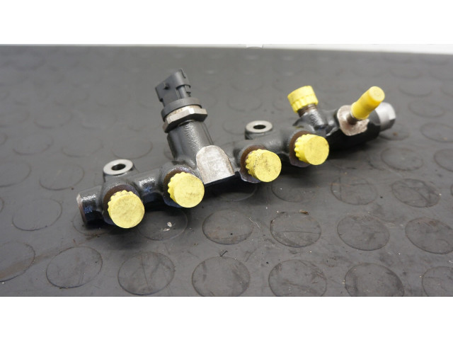 Vstřikovací lišta 175212943R   Renault Megane IV     