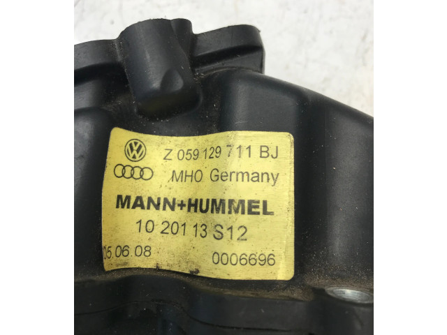 Всасывающий коллектор 059129711BJ, 0006696 Audi A5 8T 8F