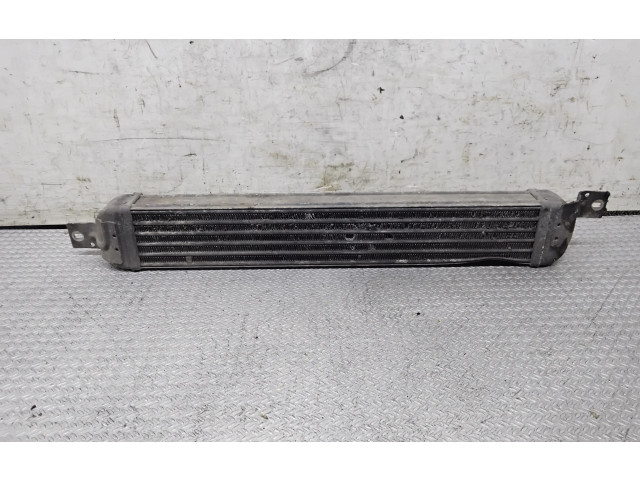 Интеркулер     Opel Meriva A 