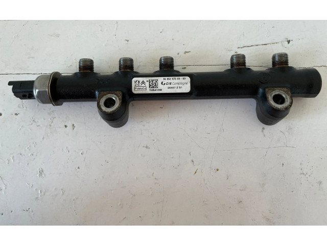 Топливная рампа 968529758003, 8H01   Citroen C3  