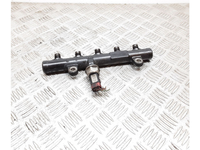 Топливная рампа 55PP0603, 0620540506   Fiat Ulysse   для двигателя RHK