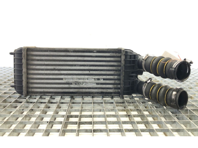 Интеркулер     Peugeot 301 