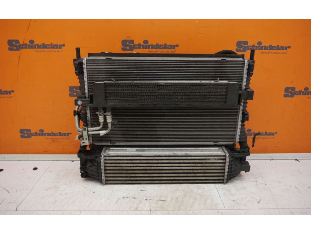 Комплект радиатора    Ford Mustang VI