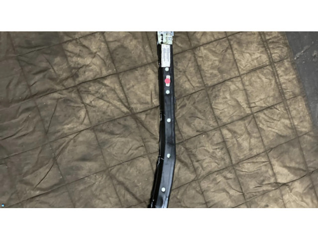 Боковая подушка безопасности 2518601005 Mercedes-Benz R W251