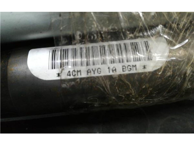 Подушка безопасности двери 4CMAYG1ABGM   SsangYong Korando