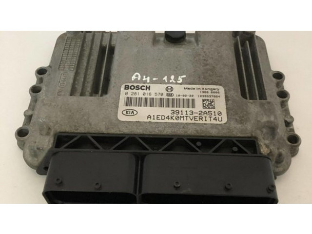 Блок управления двигателя 391132A510, 0281016570 KIA Ceed