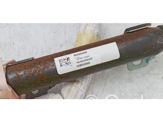 Боковая подушка безопасности 85020G2000   Hyundai Ioniq