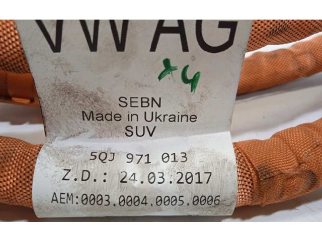 Блок управления 5QJ971013 Audi Q3 F3