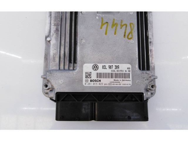 Řídící jednotka 03L907309, 0281015029 Volkswagen Passat Alltrack