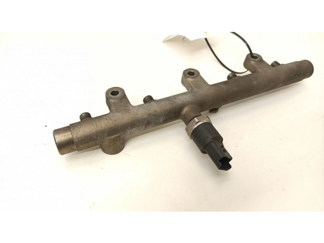 Vstřikovací lišta 0445214019, 010831 Peugeot 307 pro naftový motor 2.0