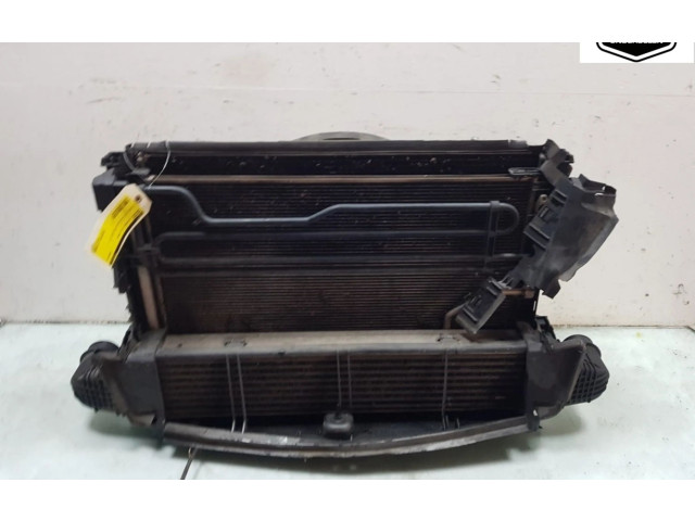 Pojistková skříňka Комплект радиатора A2045000293, A2045000254 Mercedes-Benz C W204 2008