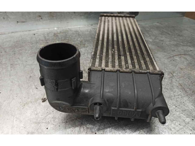 Интеркулер 1489396080, 870229HF Citroen C8