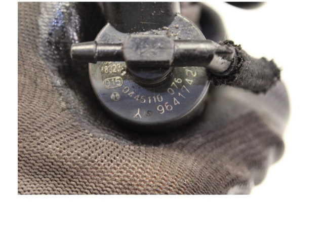 Форсунка 0445110076    Peugeot Expert  RHX 