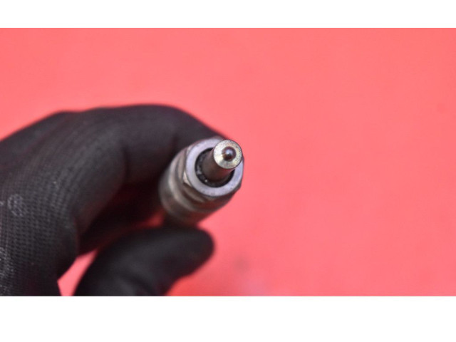 Форсунка 0445110251, 0445110251    Volvo V70   