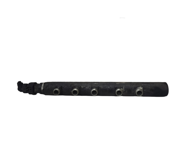 Vstřikovací lišta 0445214095, 55197370 Fiat Punto (188) pro naftový motor 1.9