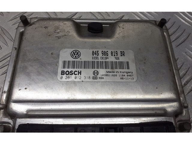 Блок управления двигателя 045906019BR Skoda Fabia Mk1 (6Y)