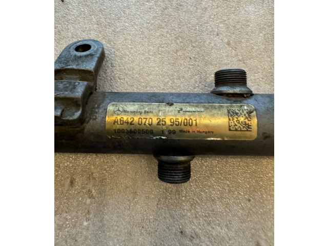 Vstřikovací lišta A6420702595, 1003600500 Mercedes-Benz ML W164 OM 642.940