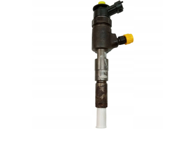 Форсунка 0445110351, 0445110351    Citroen Nemo  FHZ F13DTE5 