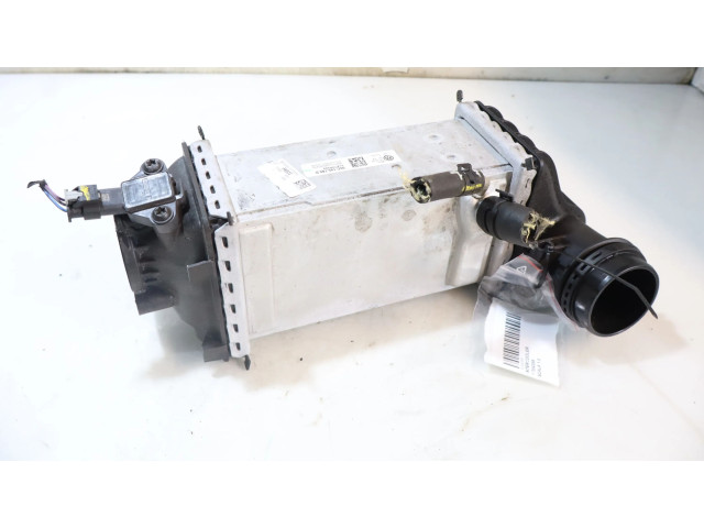 Интеркулер Skoda Scala