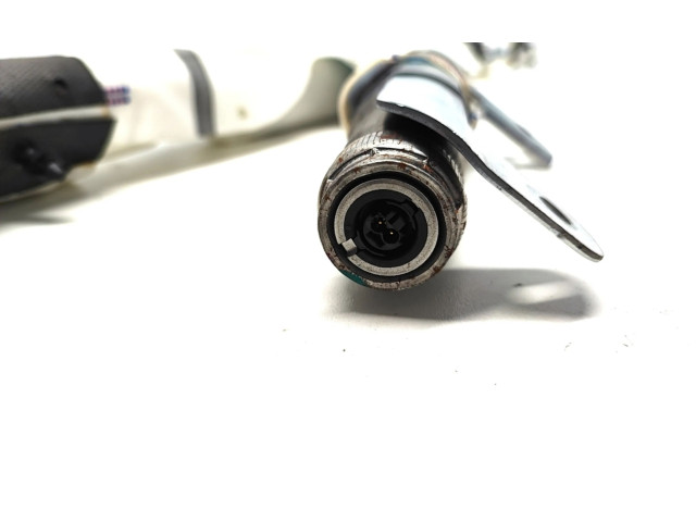 Надувная подушка для крыши 1036757-00-H Tesla Model X (XXX)