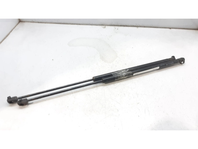 Пружина (пружины) задней крышки