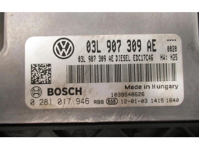 Řídící jednotka 03L907309AE   Volkswagen Tiguan 2012