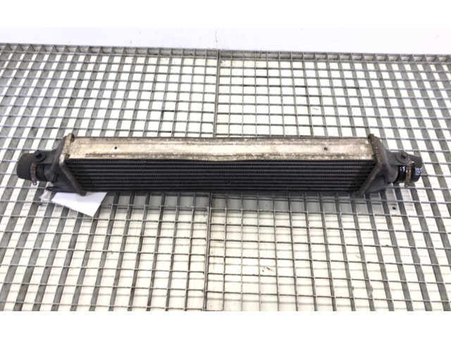 Интеркулер     Fiat Linea 