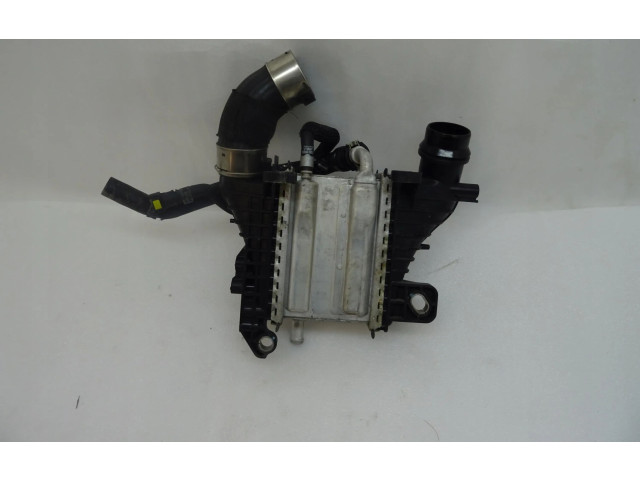 Вентилятор радиатора     144967867R    Renault Dacia Duster 