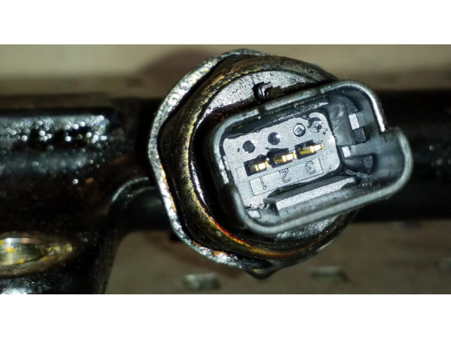 Топливная рампа    Citroen C4 Grand Picasso 2.0 