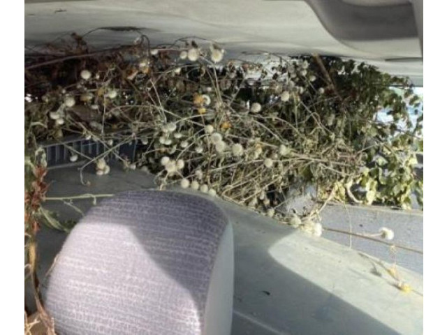 Моторчик дворников 7701055893    Renault Trafic II (X83)