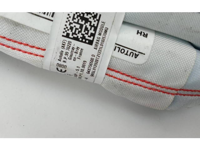 Боковая подушка безопасности 648756500D   Dacia Sandero