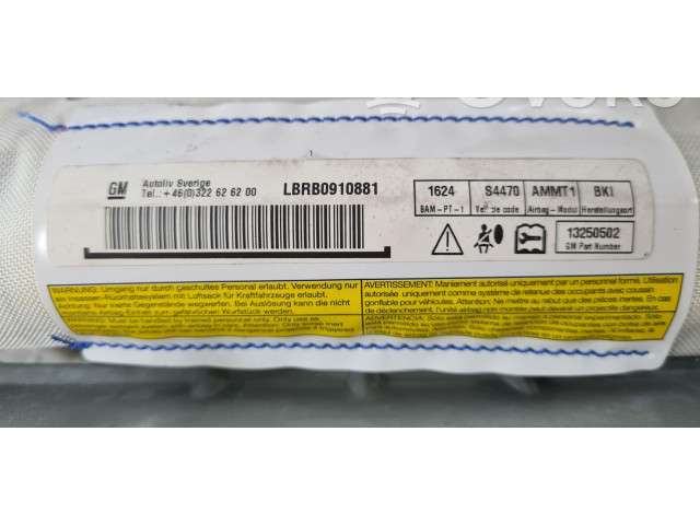 Боковая подушка безопасности 13250502, 13250502   Opel Meriva B