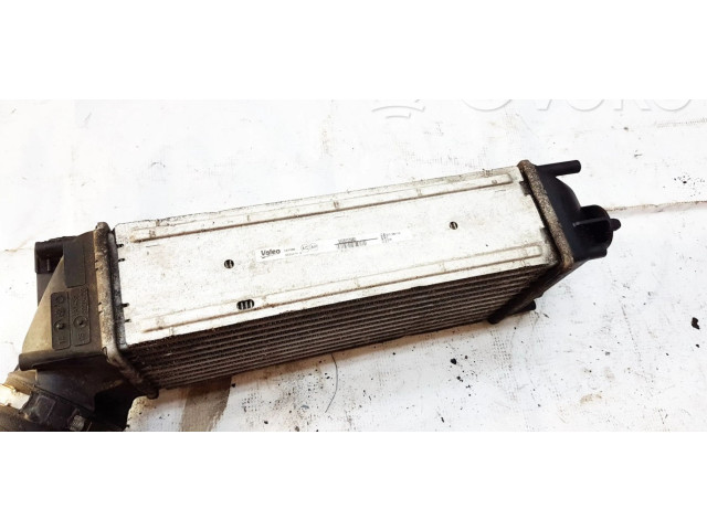 Интеркулер 9656503980, 992507M Nissan Pathfinder R51