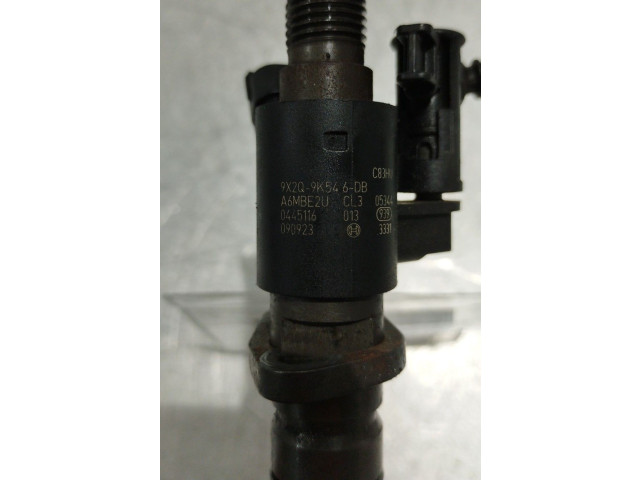 Жиклер (жиклеры) (форсунка (форсунки) 9X2Q9K546DB, 0445116013 Jaguar XF X250