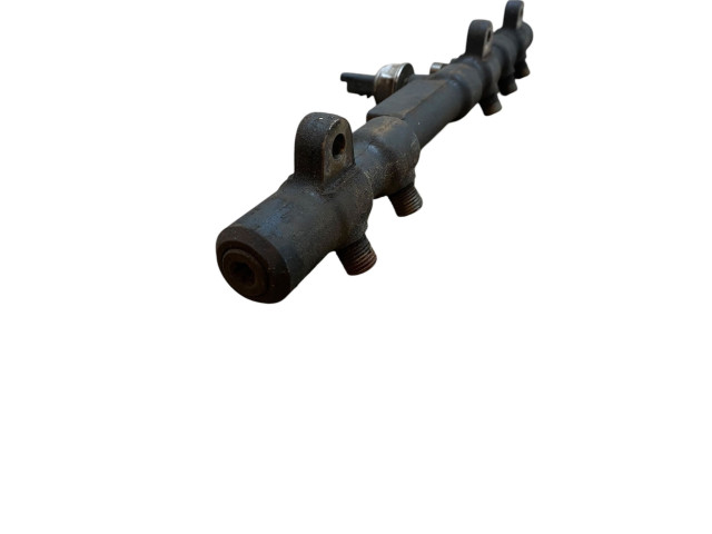 Топливная рампа A6650700295   SsangYong Rexton I  