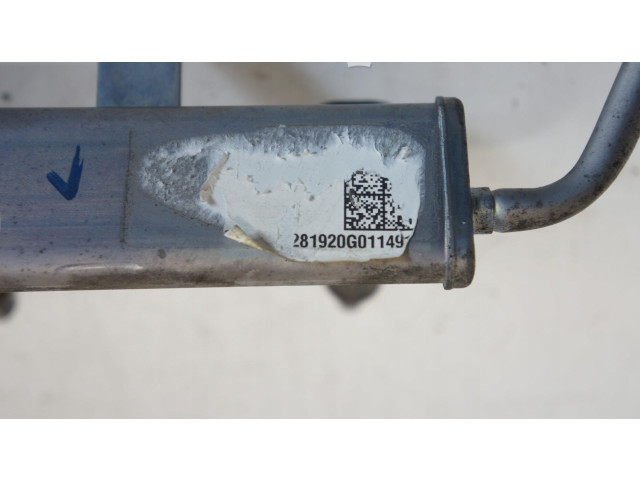 Топливная рампа 166009685R Smart ForFour II W453