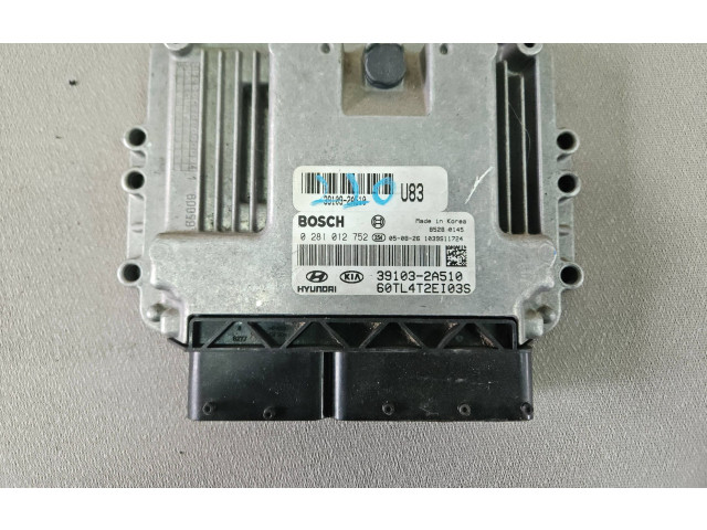 Блок управления двигателя 391032A511, 0281013141BOSCH Hyundai Getz