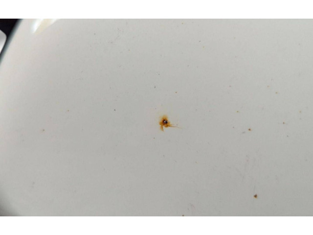 Зеркало электрическое Skoda Superb B6 (3T) 2008 - 2015 года