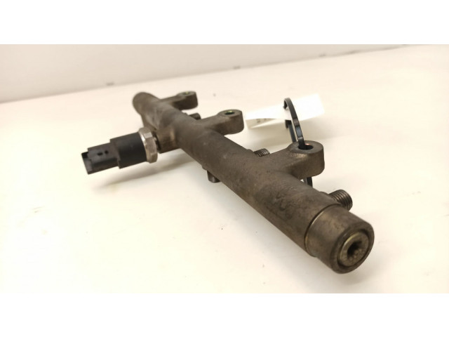 Vstřikovací lišta 0445214019, 010831 Peugeot 307 pro naftový motor 2.0