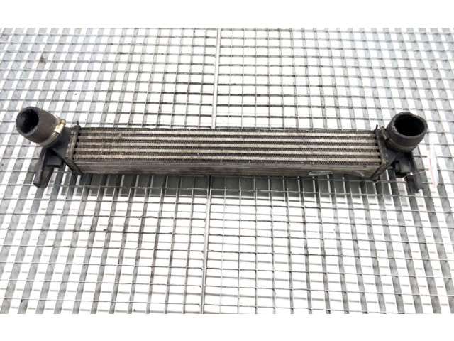 Интеркулер Y3427002 Skoda Rapid (NH)