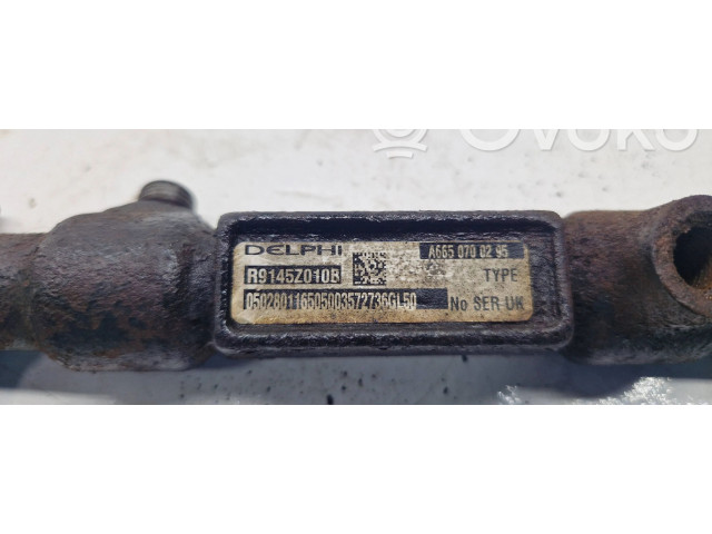 Топливная рампа A6650700295, R9145Z010B   SsangYong Rexton  