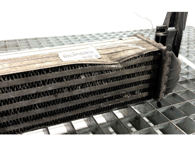 Интеркулер Y3427002 Skoda Rapid (NH)