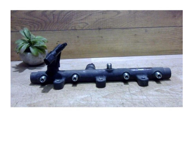 Топливная рампа 0000157095, 0000157095 Citroen Xsara Picasso для двигателя DW10TD(RHY)