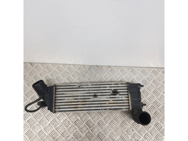 Интеркулер 1489396080, 870229HF Citroen C8
