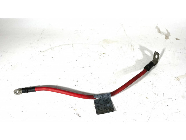 Плюсовый провод (аккумулятора)