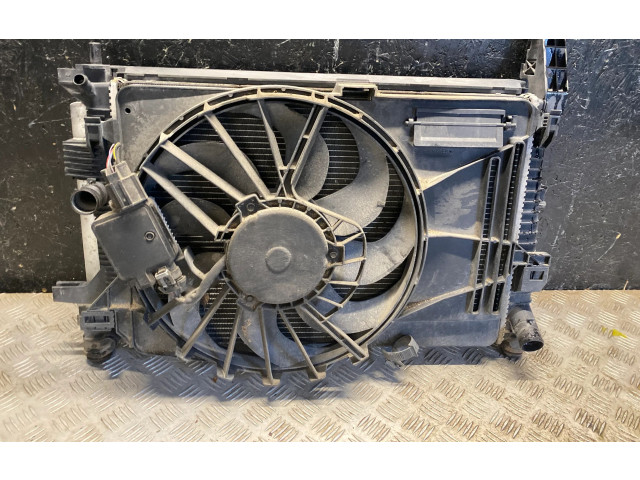 Жиклер (жиклеры) (форсунка (форсунки) BV618C342BC, 8V618C607EB   Ford Focus   