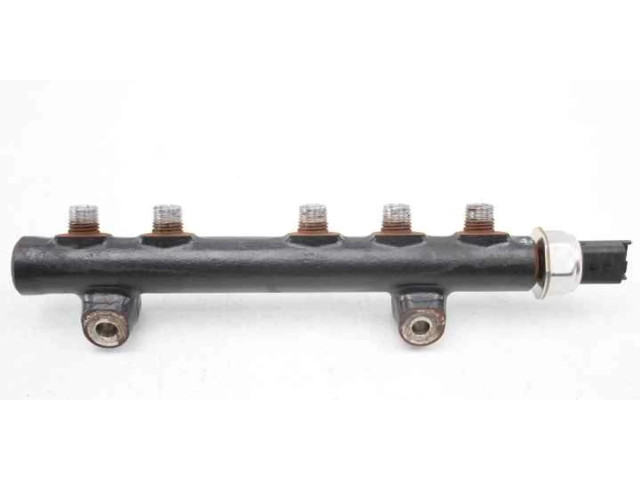 Vstřikovací lišta 9685297580 Citroen Berlingo pro naftový motor 1.6