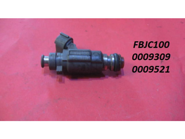 Vstřikovač FBJC100, 0009309   Nissan Maxima   0.0  
