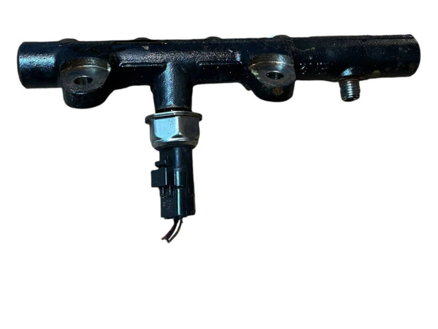 Vstřikovací lišta 175210651R, 153110206   Nissan Qashqai     