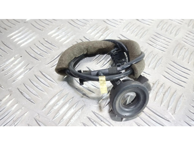 Считывающее устройство иммобилайзера (антенна)